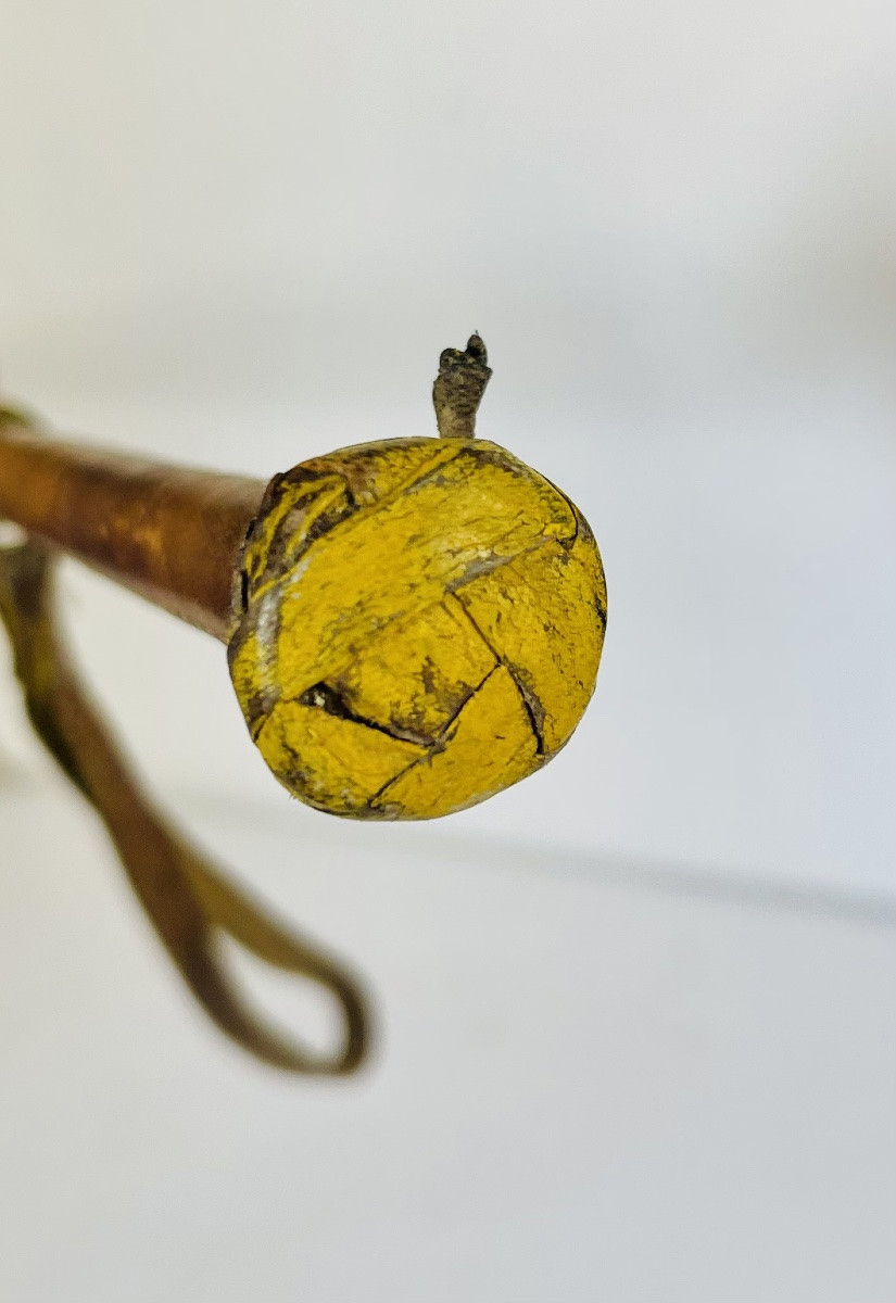 Whip -photo-4